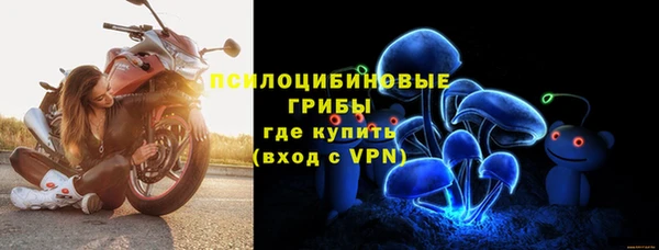 СК Костерёво