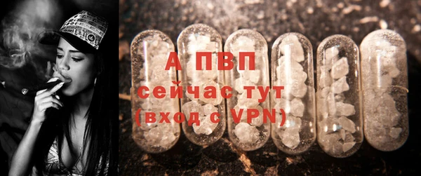 СК Костерёво