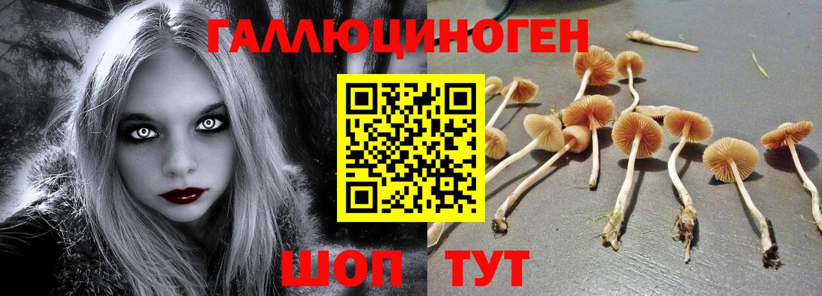 Галлюциногенные грибы Psilocybine cubensis  Псилоцибиновые грибы Psilocybe  Вход с VPN  Курчатов 
