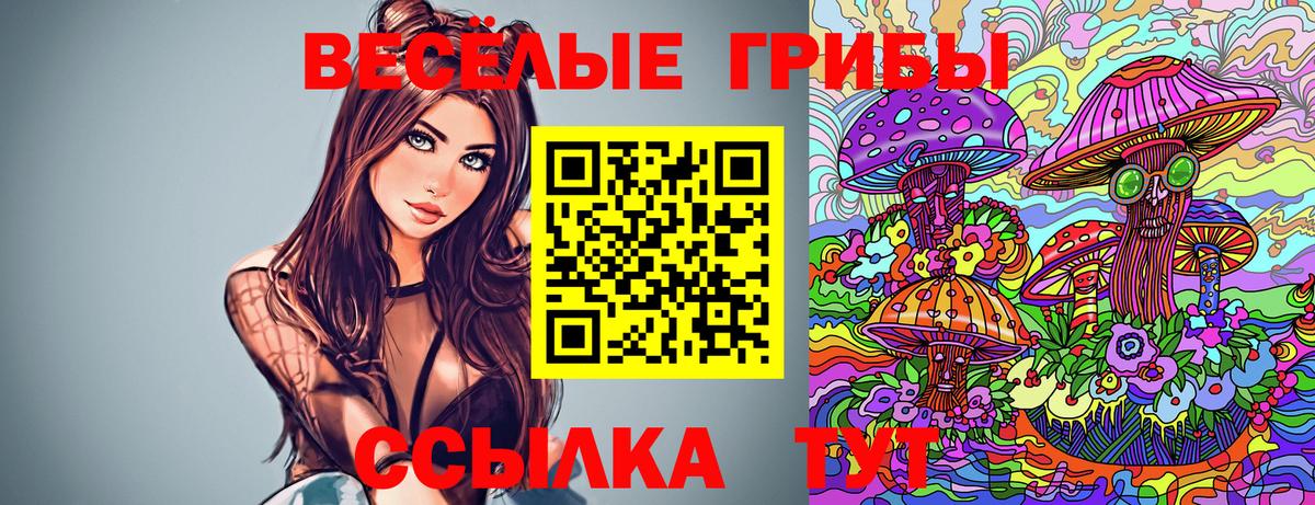 Галлюциногенные грибы Psilocybe Курчатов